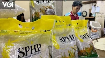 بحد أقصى 5 أكياس.. تفاصيل ضوابط شراء الأرز SPHP الجديدة مطلع فبراير 2026